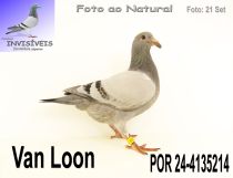 POR 24-4135214